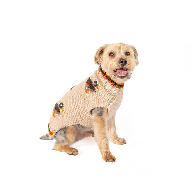 Dog wearing a Halloween-themed sweater on a white background
