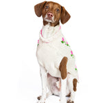 Dog wearing a white sweater with pink floral patterns on a white background
