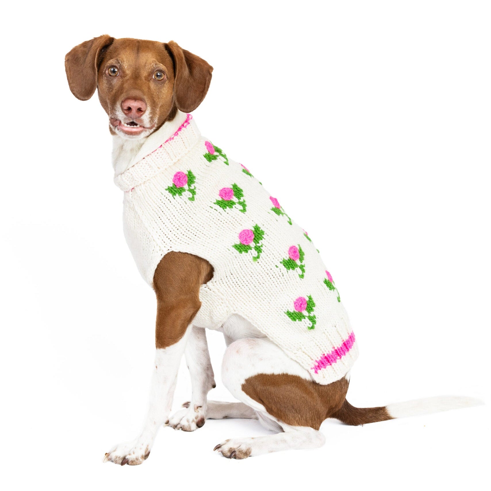 Dog wearing a white sweater with pink floral patterns on a white background