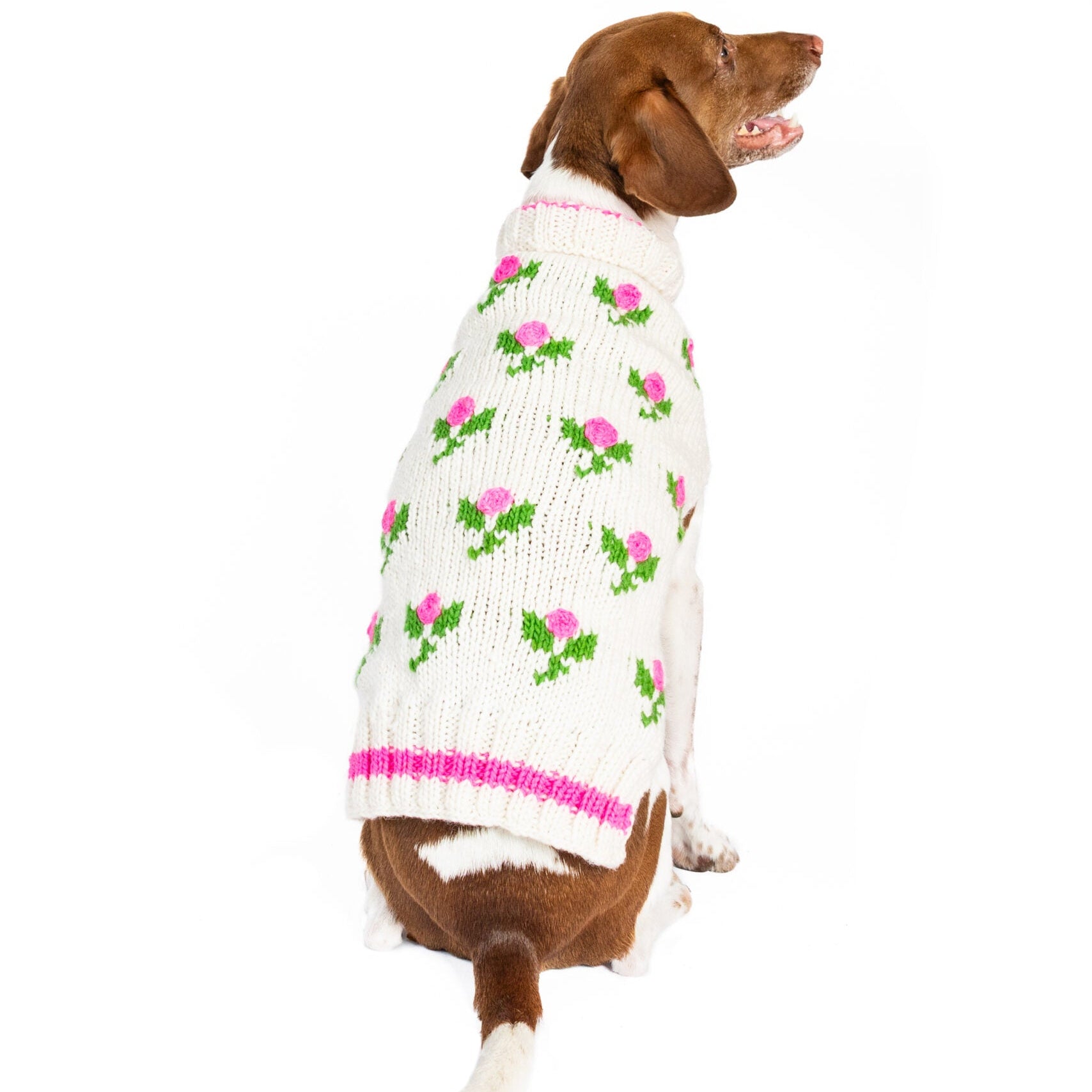 Dog wearing a floral sweater on a white background