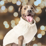 Natural Cable dog sweater