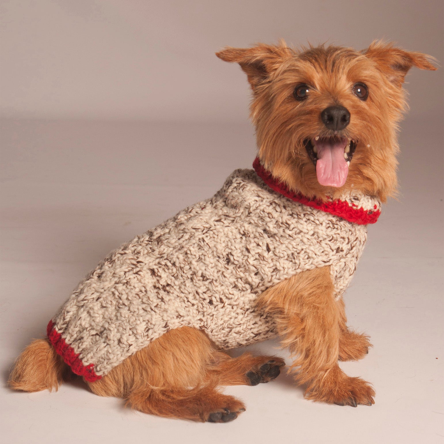 OATMEAL-WITH-RED-TRIM-CABLE-KNIT dog sweater