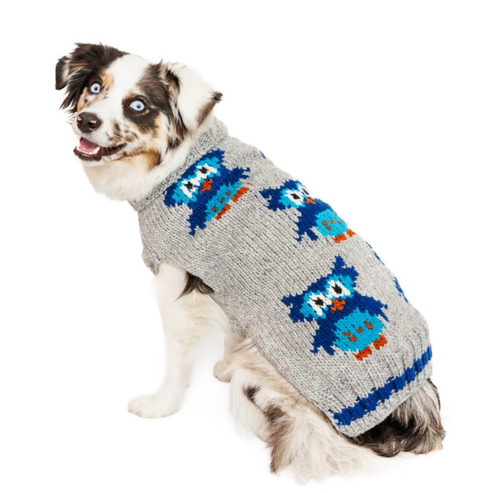 Dog wearing a gray sweater with blue owl patterns on a white background