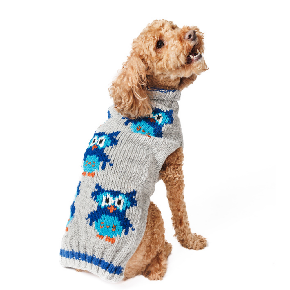 Dog wearing a gray sweater with blue owl patterns on a white background