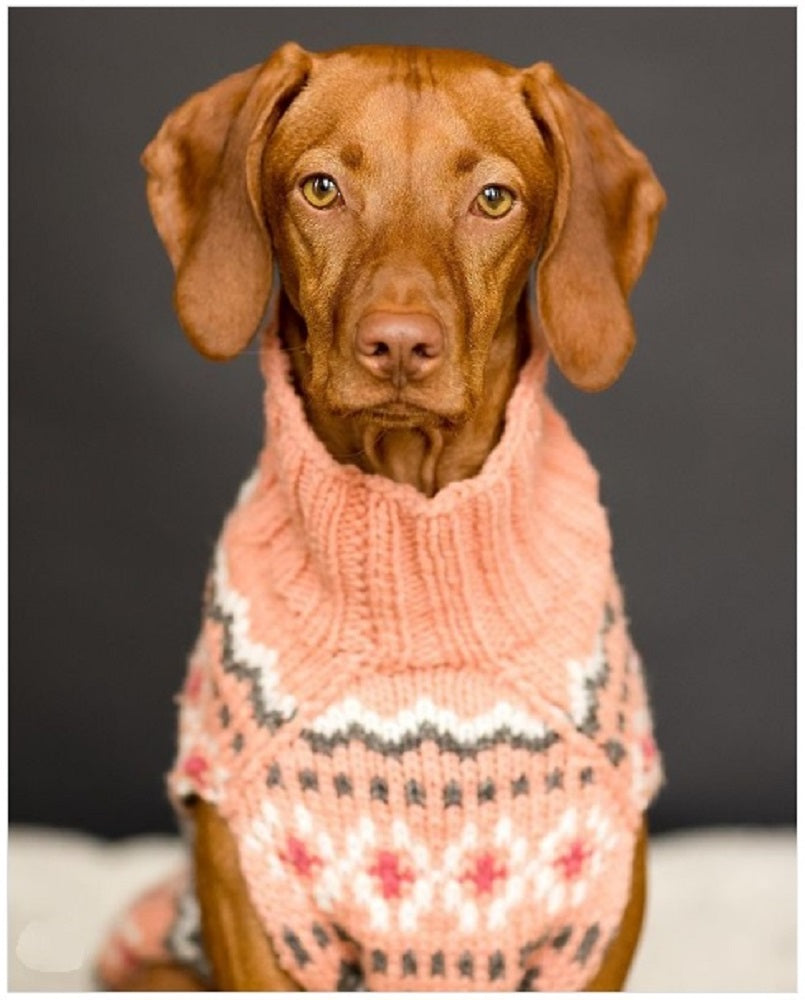 Dog wearing a pink knitted sweater with a pattern on a dark background