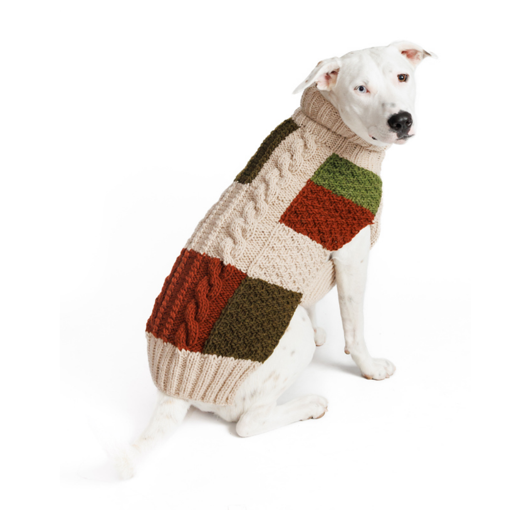 Dog wearing a colorful knitted sweater on a white background