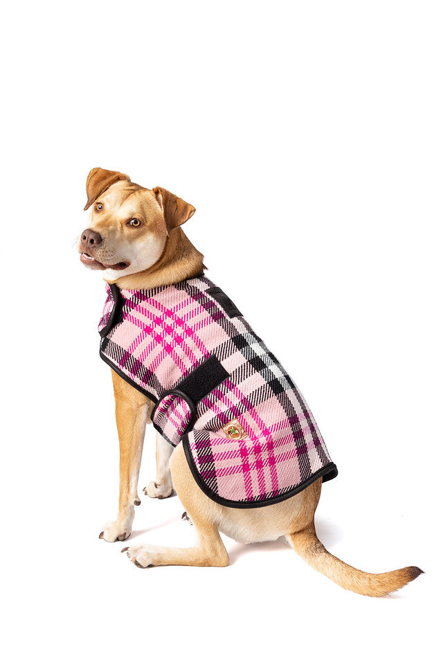 Pink Plaid Blanket Dog Coat XL back