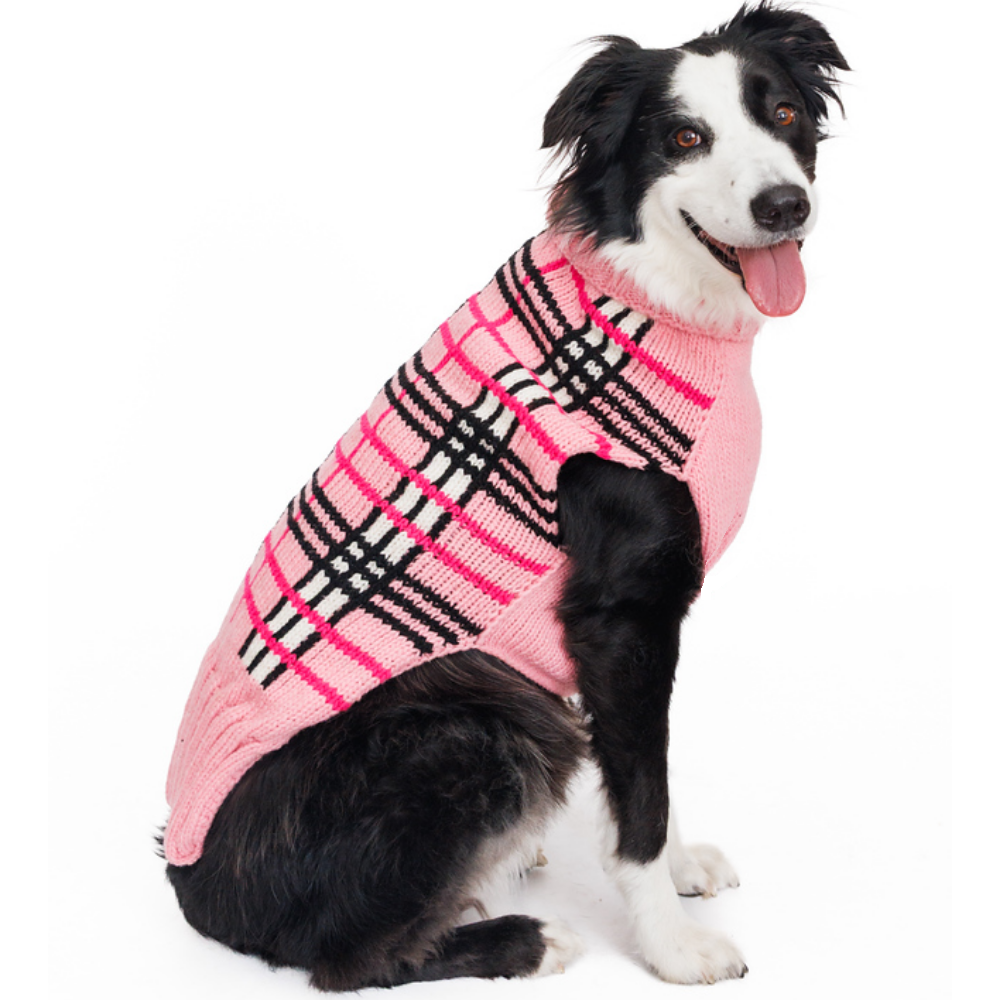 Dog wearing a pink plaid sweater on a white background