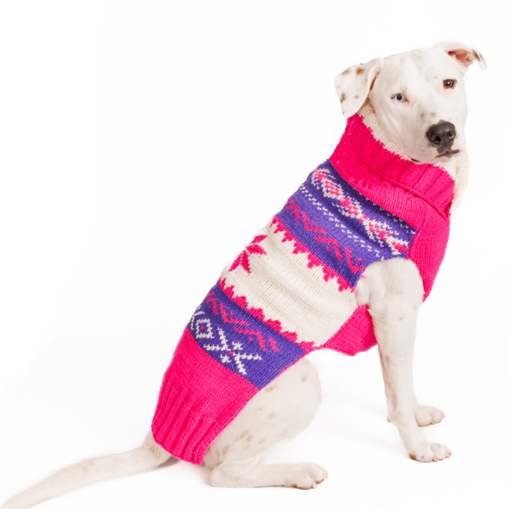 Dog wearing a pink and purple patterned sweater on a white background