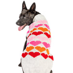 Dog wearing a colorful heart-patterned sweater on a white background