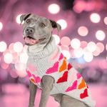 Puppy Love dog sweater blurred background lights
