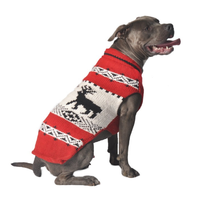 Reindeer Shawl red dog sweater