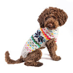 Dog wearing a colorful knitted sweater on a white background