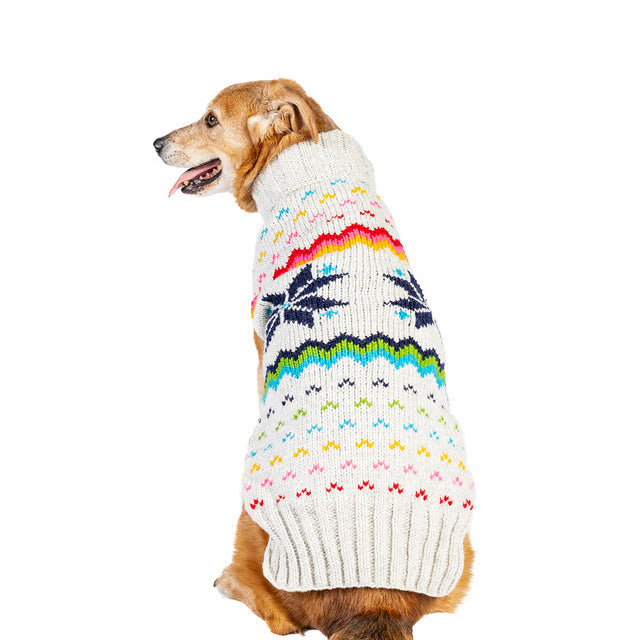 Dog wearing a colorful knitted sweater on a white background