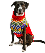 Dog wearing a colorful sweater on a white background