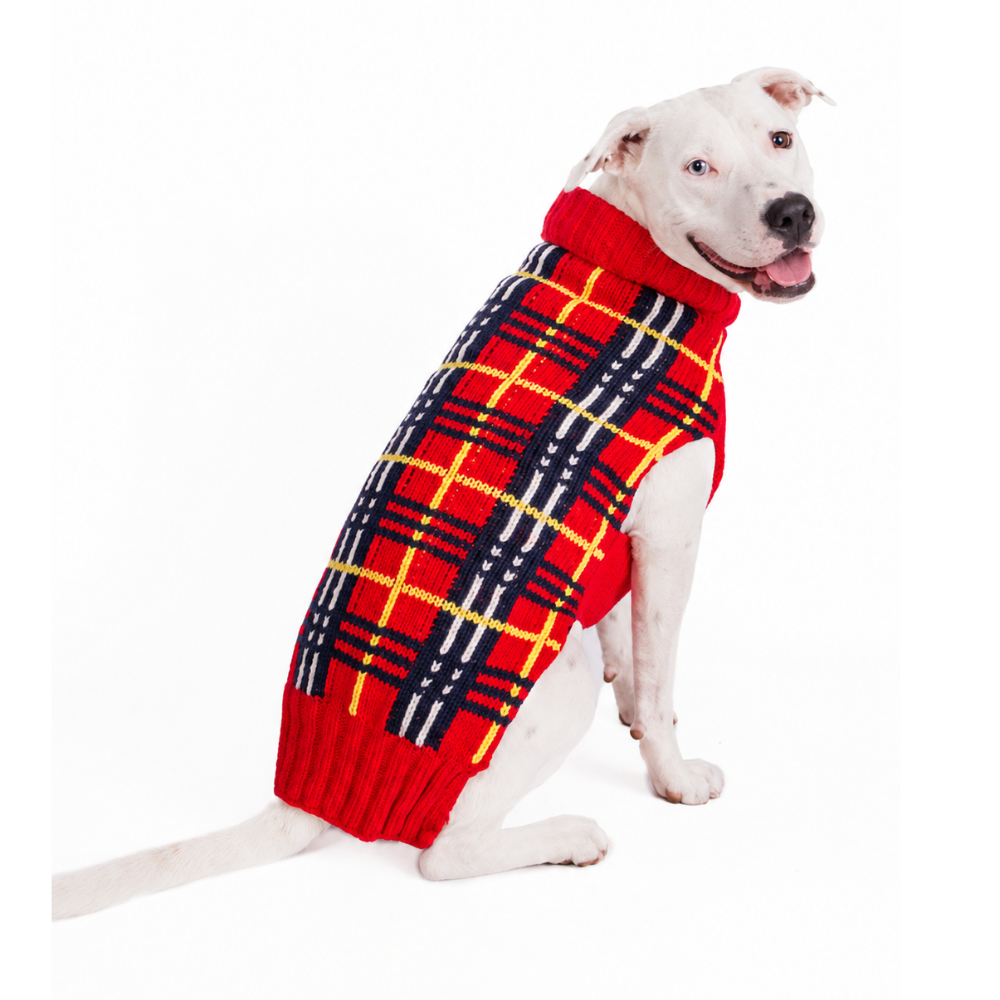 Dog wearing a red plaid sweater on a white background