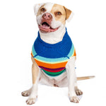 Dog wearing a colorful striped sweater on a white background