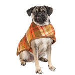 Rust-Plaid-dog-coat-pug-600x600