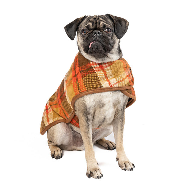 Rust-Plaid-dog-coat-pug-600x600