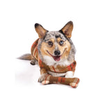 Rust-Plaid-dog-coat