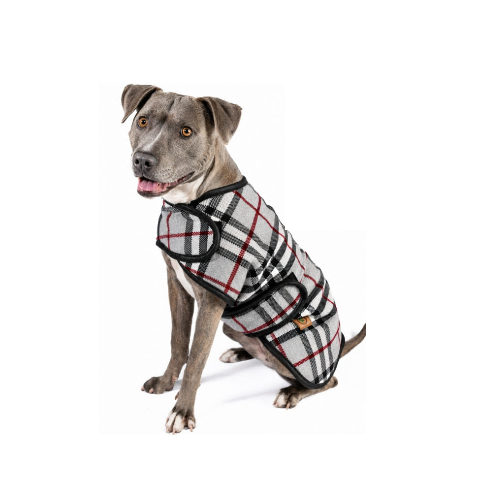 Dog wearing a plaid coat on a white background