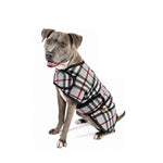 Dog wearing a plaid coat on a white background