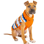 Dog wearing an orange sweater with a colorful pattern on a white background