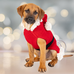Santa Dog Sweater w/ lights
