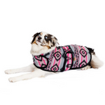 Dog wearing a patterned coat on a white background