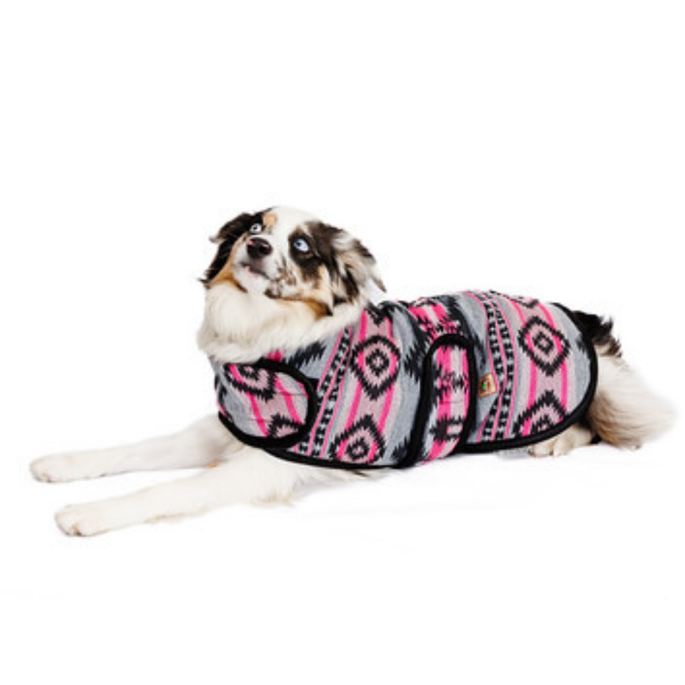 Dog wearing a patterned coat on a white background