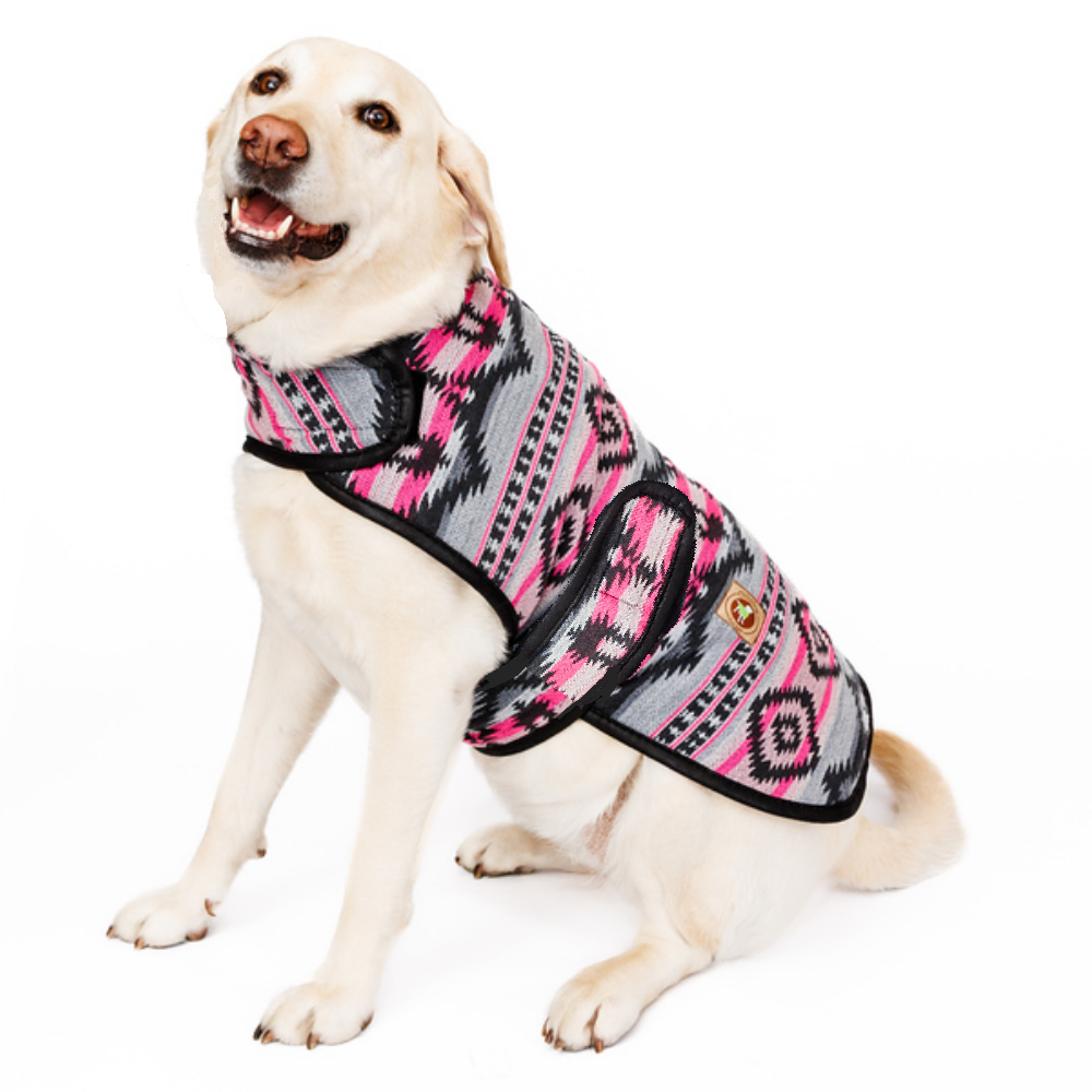 Dog wearing a patterned southwestern coat on a white background