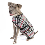 Dog wearing a plaid patterned dog coat on a white background