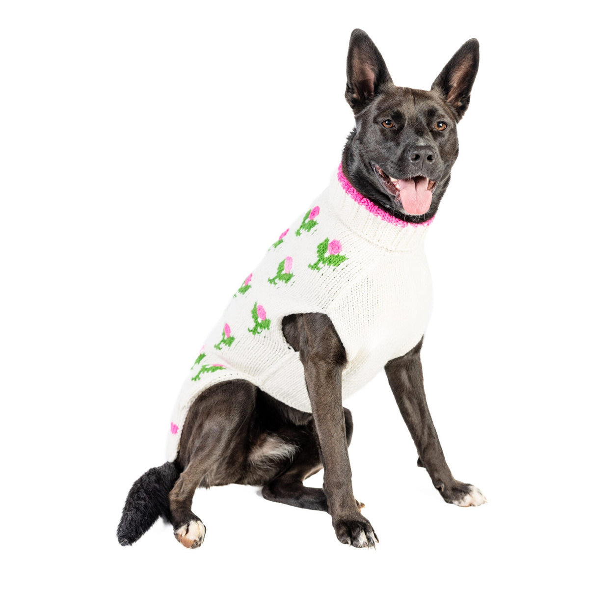 Dog wearing a white sweater with floral patterns on a white background