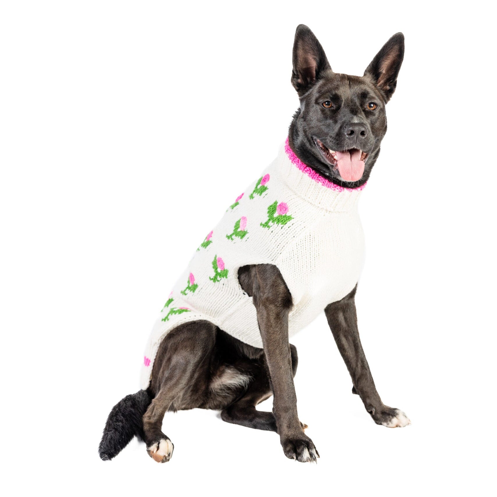 Dog wearing a white sweater with floral patterns on a white background