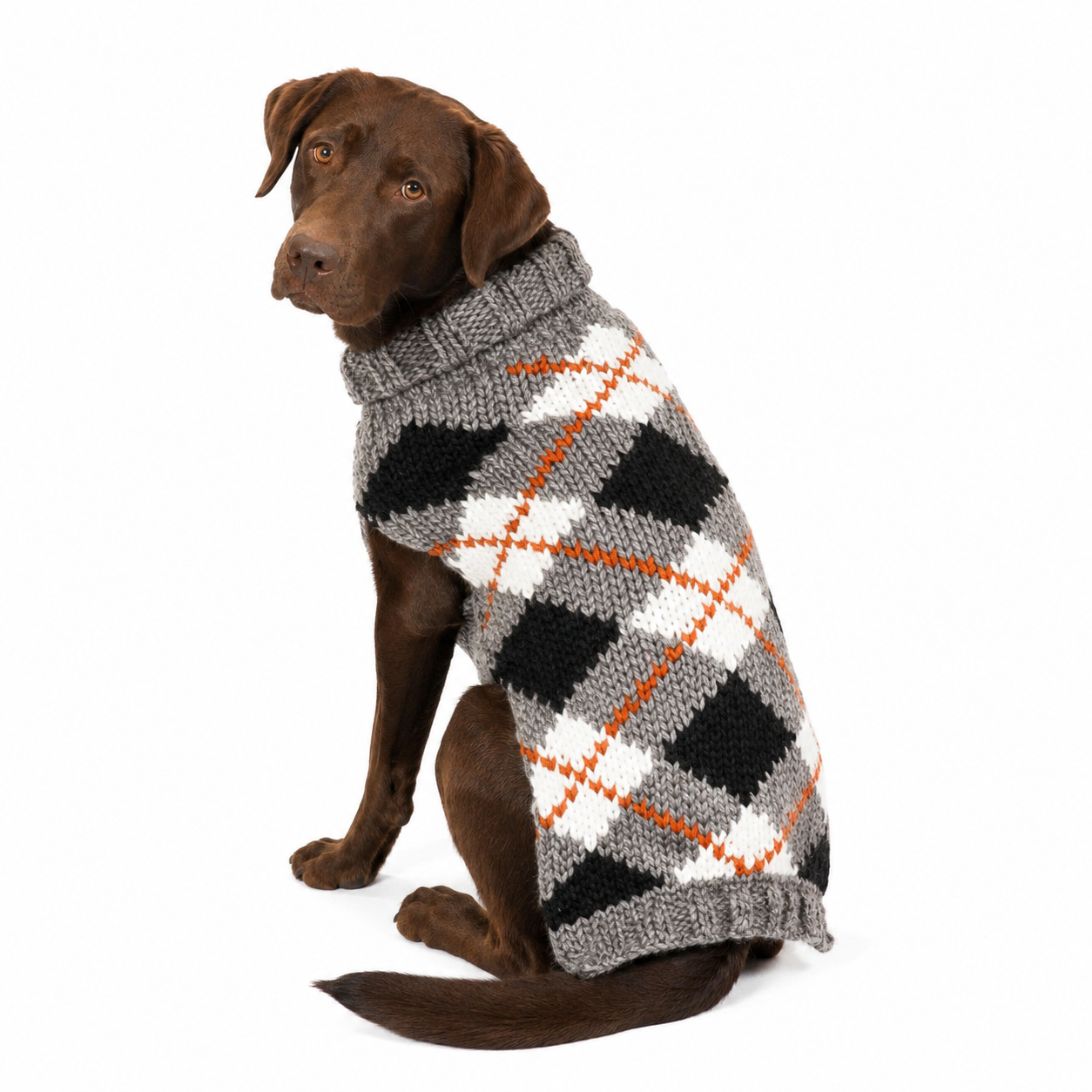 Dog wearing a gray argyle sweater on a white background