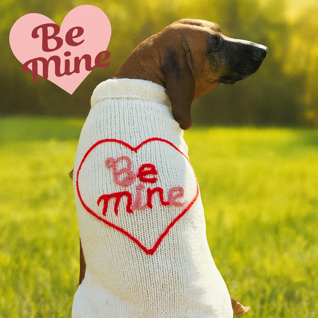Dog wearing a sweater with 'Be Mine' text, standing in a grassy field.