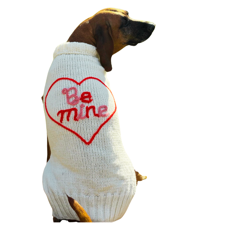 Dog wearing a white sweater with a red heart and 'Be mine' text on a white background