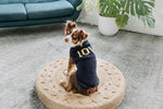 Alpaca LOVE Dog Sweater