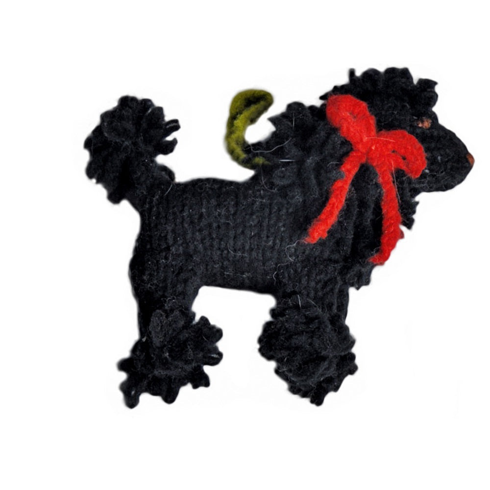 black poodle