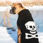 Dog wearing a black sweater with a skull design outdoors in winter.