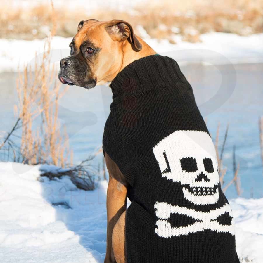 Dog wearing a black sweater with a skull design outdoors in winter.
