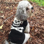 Small dog wearing a black and white knitted sweater outdoors on a leaf-covered ground.