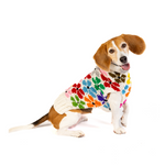 Bloom Dog Sweater 30