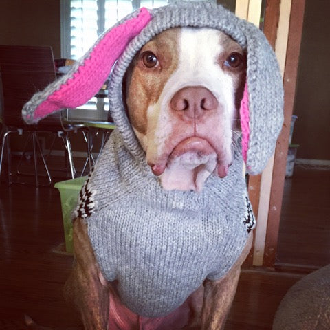 Dog wearing a knitted bunny costume with a gray body and pink ears indoors.
