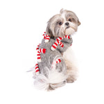 Dog wearing a festive sweater with candy cane pattern on a white background