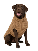 Dog wearing a brown knitted sweater on a white background