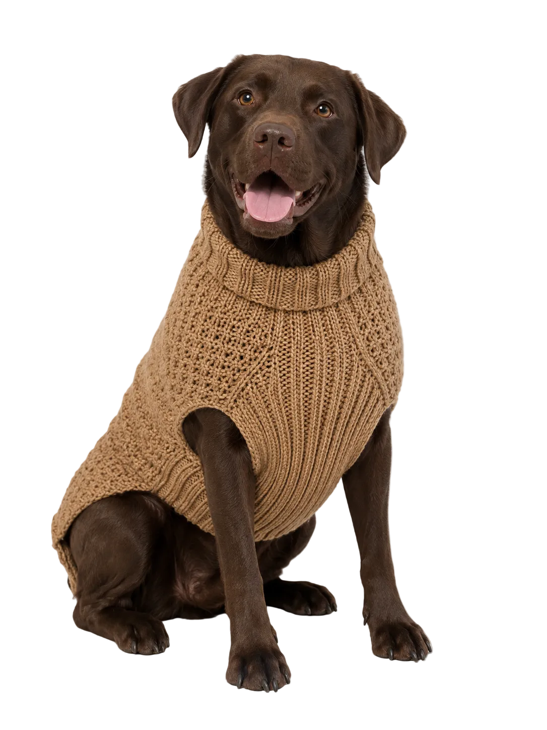 Dog wearing a brown knitted sweater on a white background