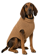 Dog wearing a brown knitted sweater on a white background