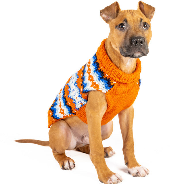 Dog wearing an orange sweater with a colorful pattern on a white background