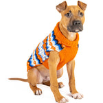 Dog wearing an orange sweater with a colorful pattern on a white background